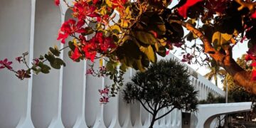 Prefeitura de Tupã abre processo seletivo com 76 vagas temporárias