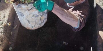 Limpeza de bocas de lobo evita inundações