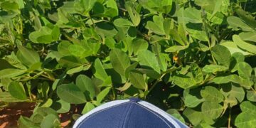 Café com Produtores acontece nesta quinta-feira (14) na cidade de Tupã