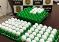 Polícia Civil de Rinópolis recupera ovos furtados de granja; ação contou com apoio da DISE de Tupã