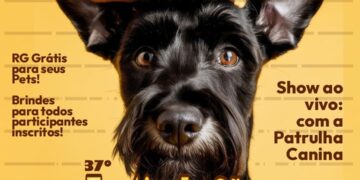 Seu pet é a estrela! Festival de Cães da Exapit chega com brindes, sorteios e estrutura especial