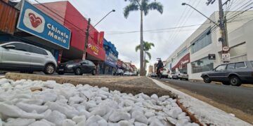 Secretaria de Obras finaliza instalação de petit-pavé nos canteiros da avenida Tamoios
