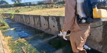 Ação da Prefeitura de Tupã mira pernilongos domésticos, veja detalhes