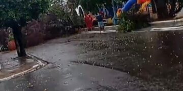 Árvore cai em rua de Tupã e interdita trecho próximo à Praça São Judas Tadeu