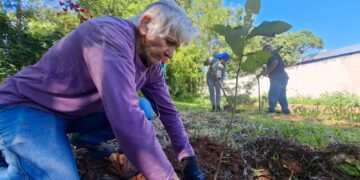 Prefeitura planta árvores nativas nas margens do Afonso XIII