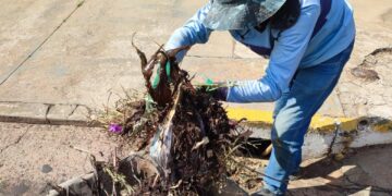 Limpeza de bocas de lobo previne alagamentos e combate criadouros do Aedes