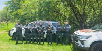 Tático encontra tijolos de maconha escondidos em mata na Vila Lahoz