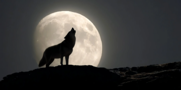 Dezembro terá superlua e duas chuvas de meteoros; veja quando observar os fenômenos